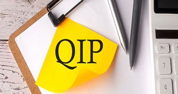 Qualified Institutional Placement fundraising services